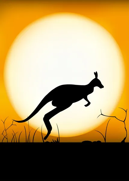 Sonnenuntergang mit Känguru — Stockvektor