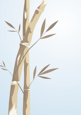 Bambu ağacı