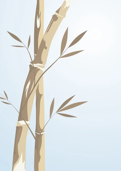 Bambusbaum — Stockvektor