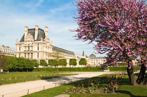 stock image Spring in Paris. France