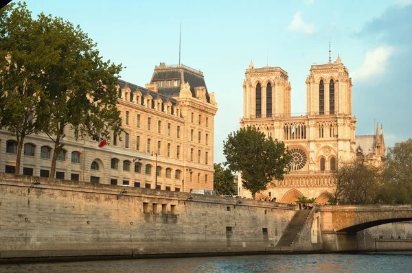 Notre dame de Paris