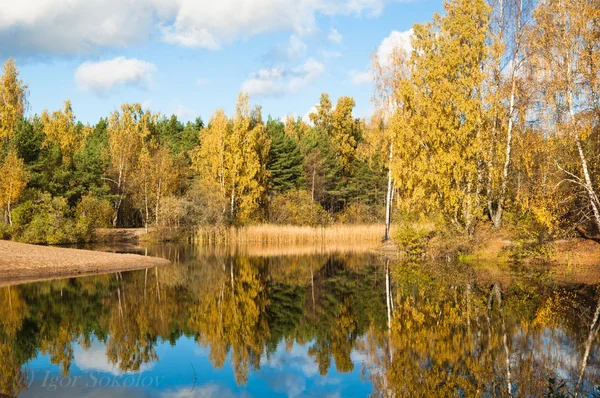 Paesaggio autunnale al lago di legno — Foto Stock