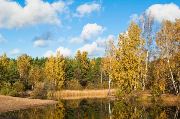Paesaggio autunnale al lago di legno — Foto Stock