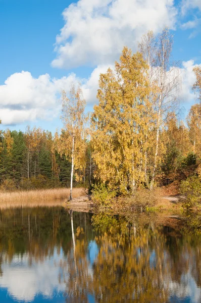 Paisaje otoñal en el lago de madera — Foto de Stock
