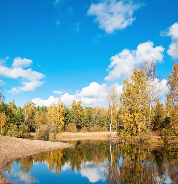 Paisagem de outono no lago de madeira — Fotografia de Stock