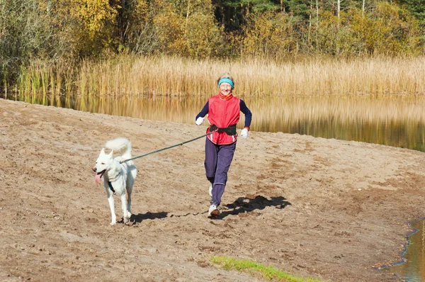 The sports woman with a dog run along coast of the rivers — Stock Photo, Image