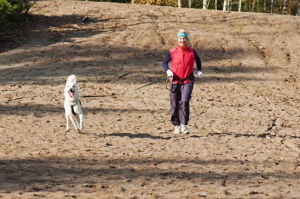 Correre la donna sportiva con un cane — Foto Stock