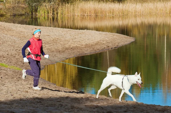 nehir kıyısında koşmak a köpek ile spor kadın