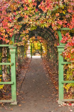 Pergola in autumn park clipart