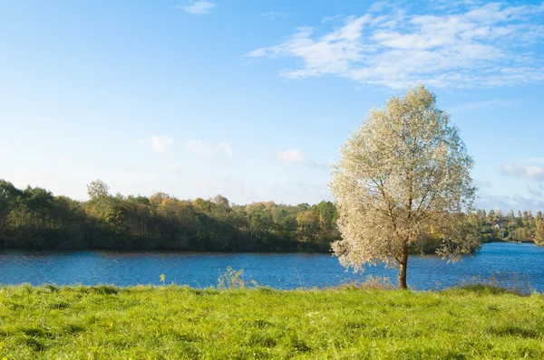 Jesień krajobraz nad jeziorem drewna — Zdjęcie stockowe