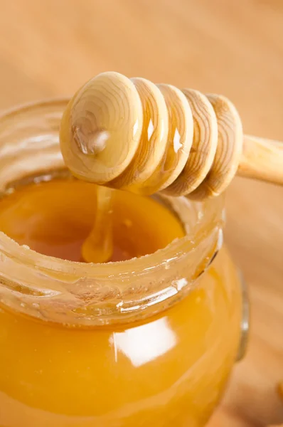 Fresh gold honey dipper — Stock Photo, Image