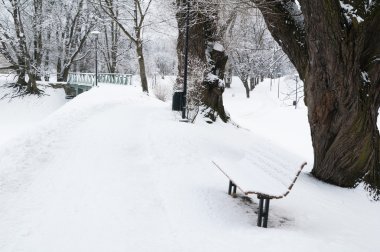 karla kaplı tezgah winter Park