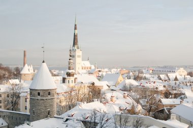 tallinn eski bir şehir manzarası. Estonya
