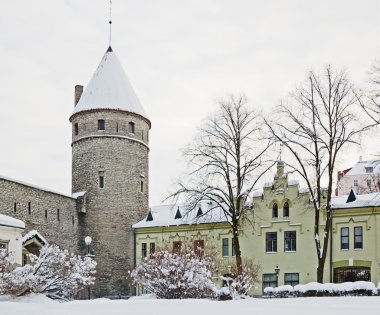 View of an old city in Tallinn. Estonia clipart