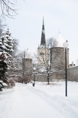 tallinn eski bir şehir manzarası. Estonya