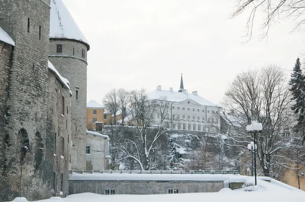 Pohled na starém městě v Tallinu. Estonsko — Stock fotografie