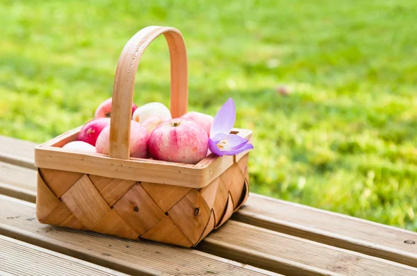 Wattled basket full of ripe apples — Stock Photo, Image
