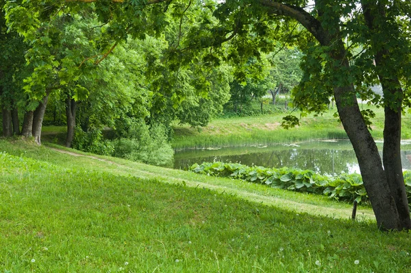 연못으로 여름 풍경 — 스톡 사진