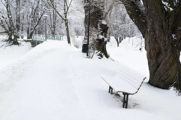 Banc couvert de neige dans Winter Park — Photo