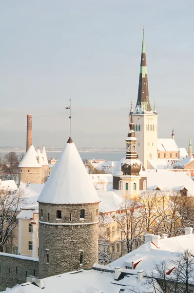 View of an old city in Tallinn. Estonia — Stock Photo, Image