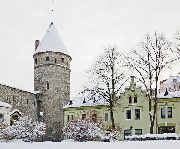 旧城在塔林中的视图。爱沙尼亚 — 图库照片