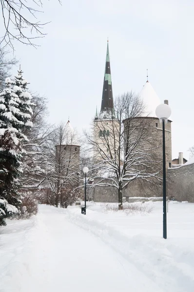 Uitzicht op een oude stad in tallinn. Estland — Stockfoto
