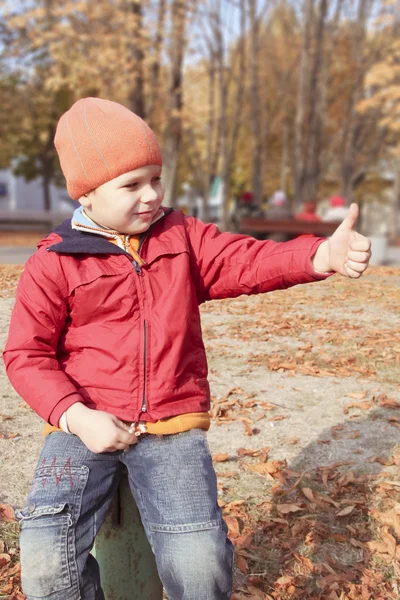 Chłopiec spaceru w parku jesień — Zdjęcie stockowe