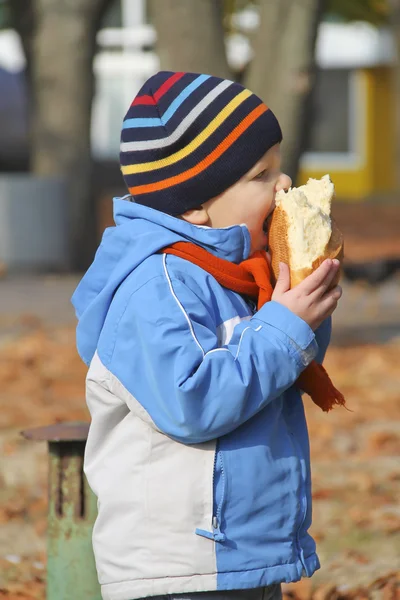 The kid eats bread during autumn walk in the park — Stok fotoğraf