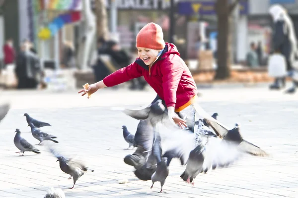 Le gamin jette du pain au parc d'automne des pigeons — Photo