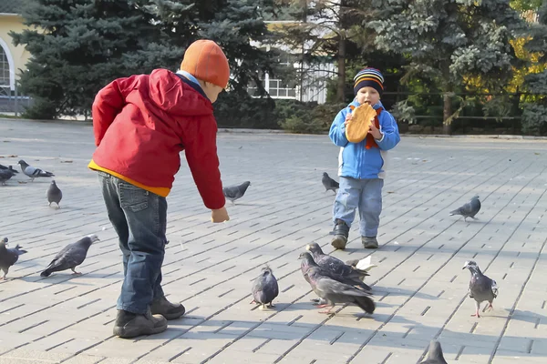 儿童喂鸽子在秋季城市公园 — 图库照片