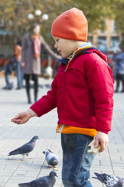 Niño lanza pan a las palomas parque de otoño — Foto de Stock