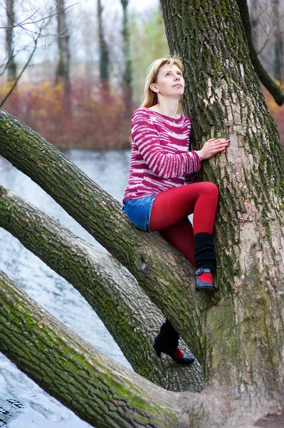 Блондинка в червоних панчохах сидить на дереві — стокове фото