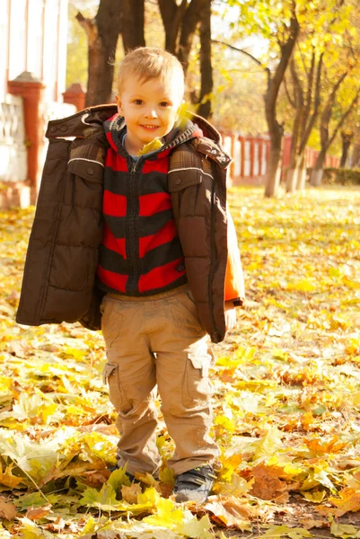 Junge spielt zur Herbstzeit mit Blättern — Stockfoto