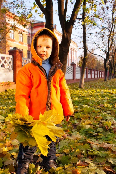 Junge spielt zur Herbstzeit mit Blättern — Stockfoto