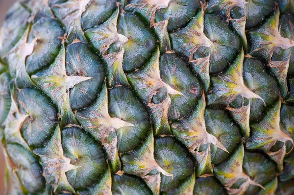 Gröna ananas shell — Stockfoto