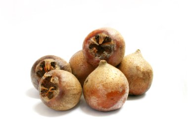 Medlars