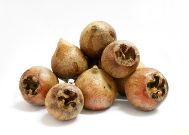 Medlars