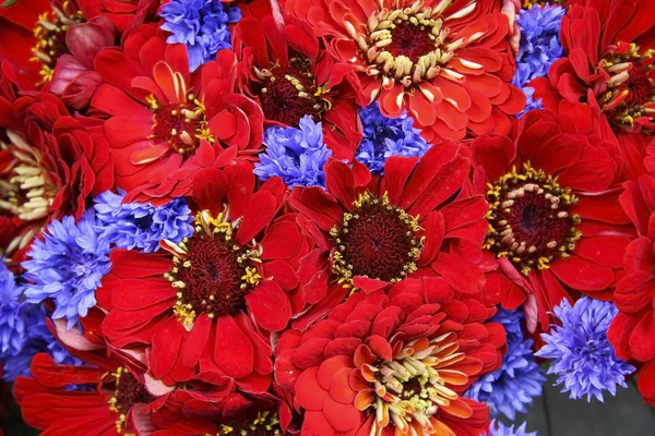 Bouquet of color autumn flowers — Stock Photo, Image