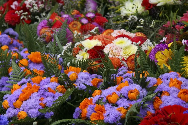 Flores coloridas no mercado — Fotografia de Stock