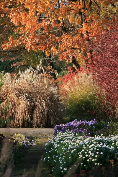 stock image Autumn path