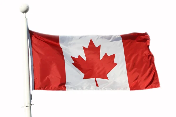 Flagge Kanadas vor weißem Hintergrund — Stockfoto