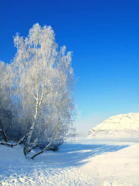 Vinterlandskap med snö träd och river i bergen — Stockfoto
