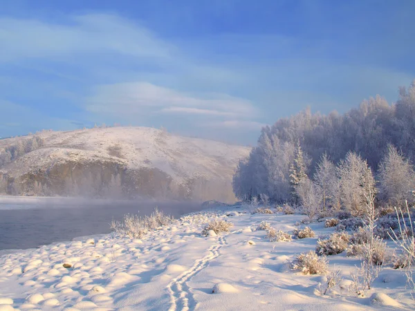 Winter landscape with snow trees and river in mountains — Stok fotoğraf