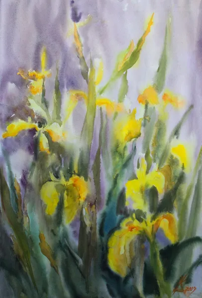 Akvarell av gul iris blommor. — Stockfoto
