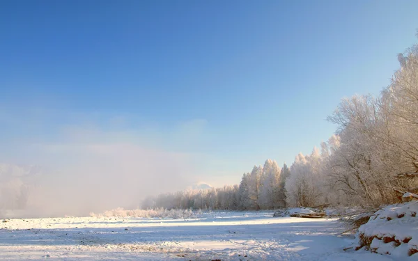 Зимовий пейзаж зі сніговими деревами і річкою в горах — стокове фото