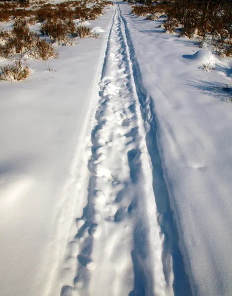 Spår av släden på snön i solig vinterdag. — Stockfoto