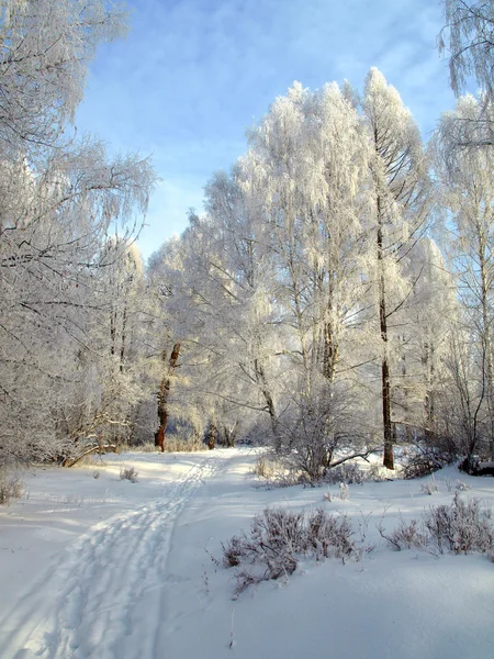 Χειμερινό τοπίο με δρόμο χιόνι και δέντρα στα βουνά — Stockfoto