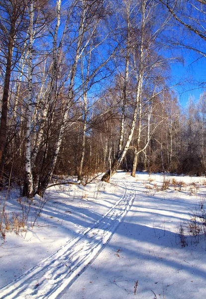 雪の道および山の木と冬の風景 — ストック写真