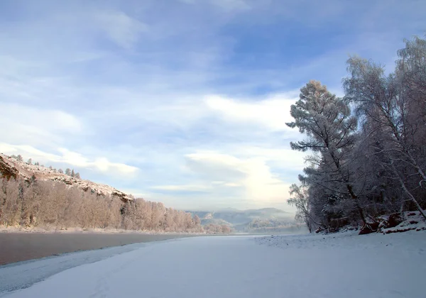 Зимовий пейзаж зі сніговими деревами і річкою в горах — стокове фото