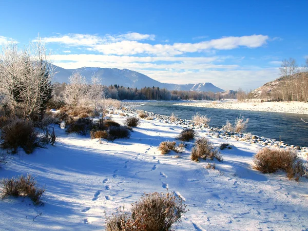Zimowy pejzaż z drzew śnieg i rzeki w górach — Zdjęcie stockowe